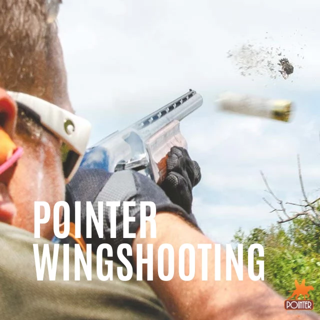 Pointer Wingshooting