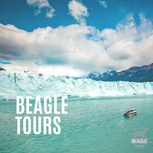 Beagle Tours