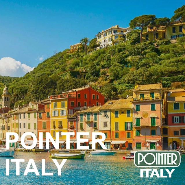 Pointer Italy